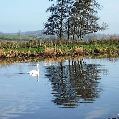 The Bower Inn Bridgwater Zewnętrze zdjęcie Swans on the River Wye